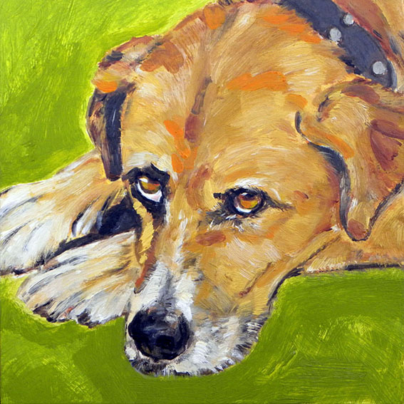 Pet Portrait Painting. Retrato de Zeus. Óleo sobre madera. 2010.