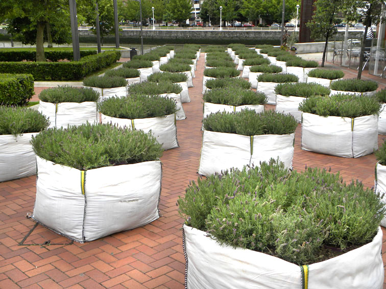 Dédalo Morado. Paseo de Abandoibarra. Bilbao Garden 2011.