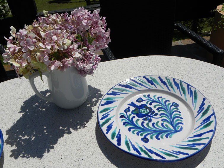 Bodegón Still Life with Plate