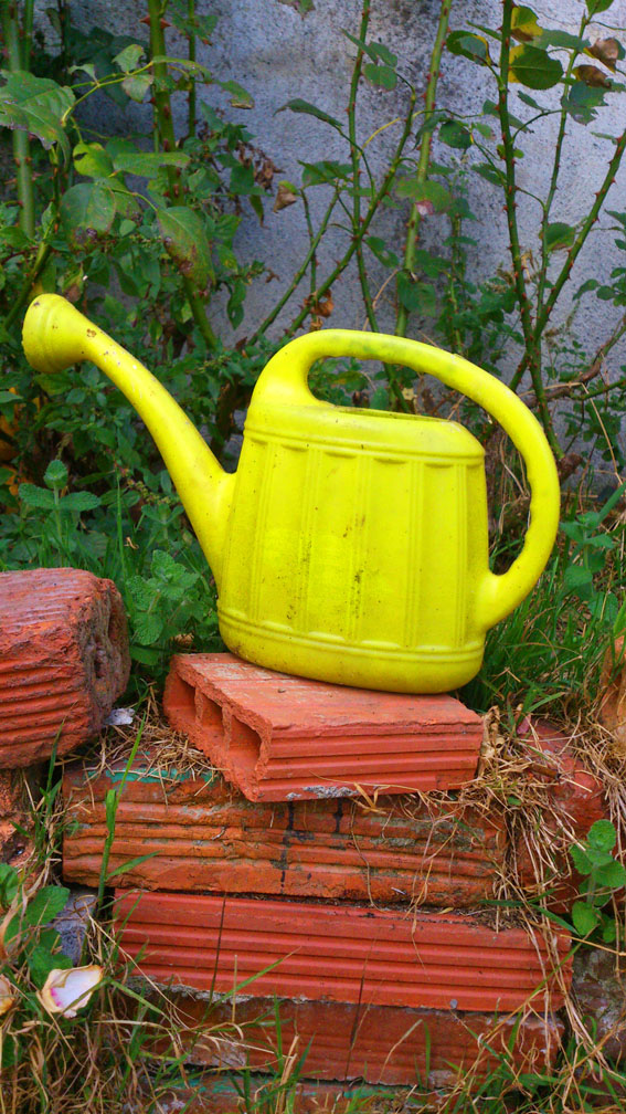 Watering Can