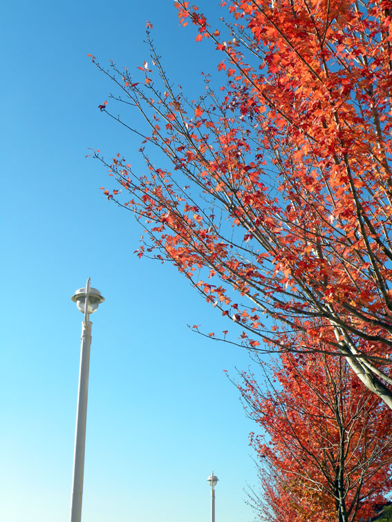 Cielo azul en Bilbao
