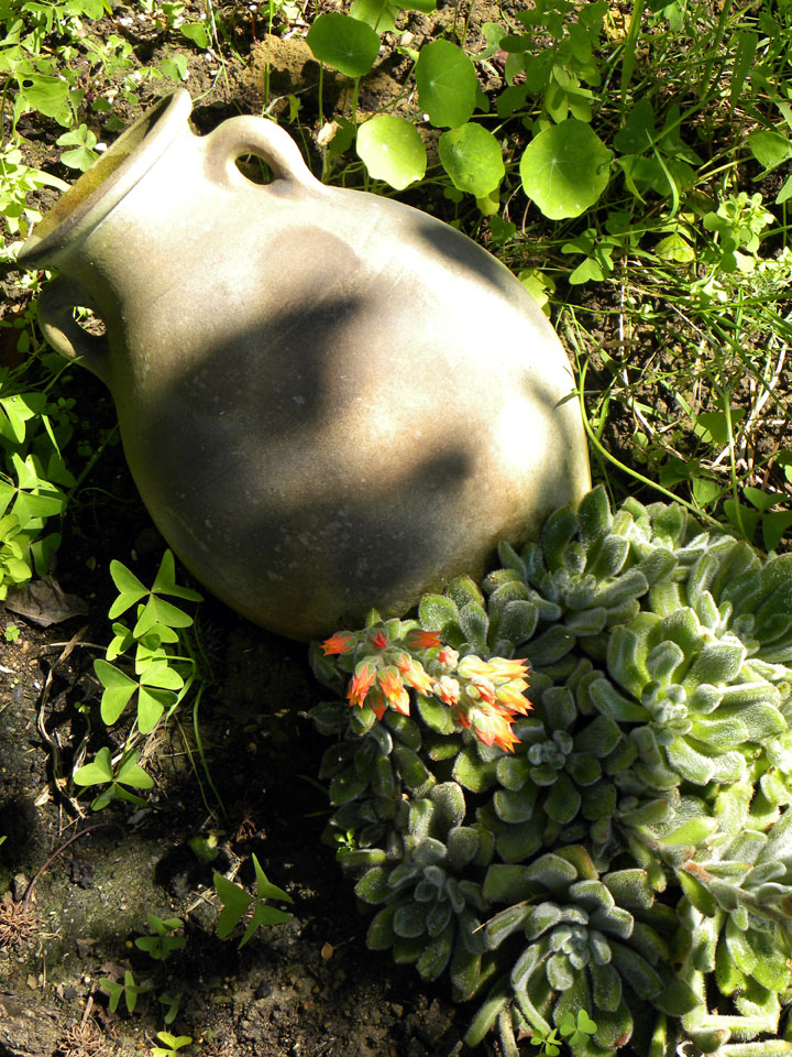 Casa Rural Arotzenea