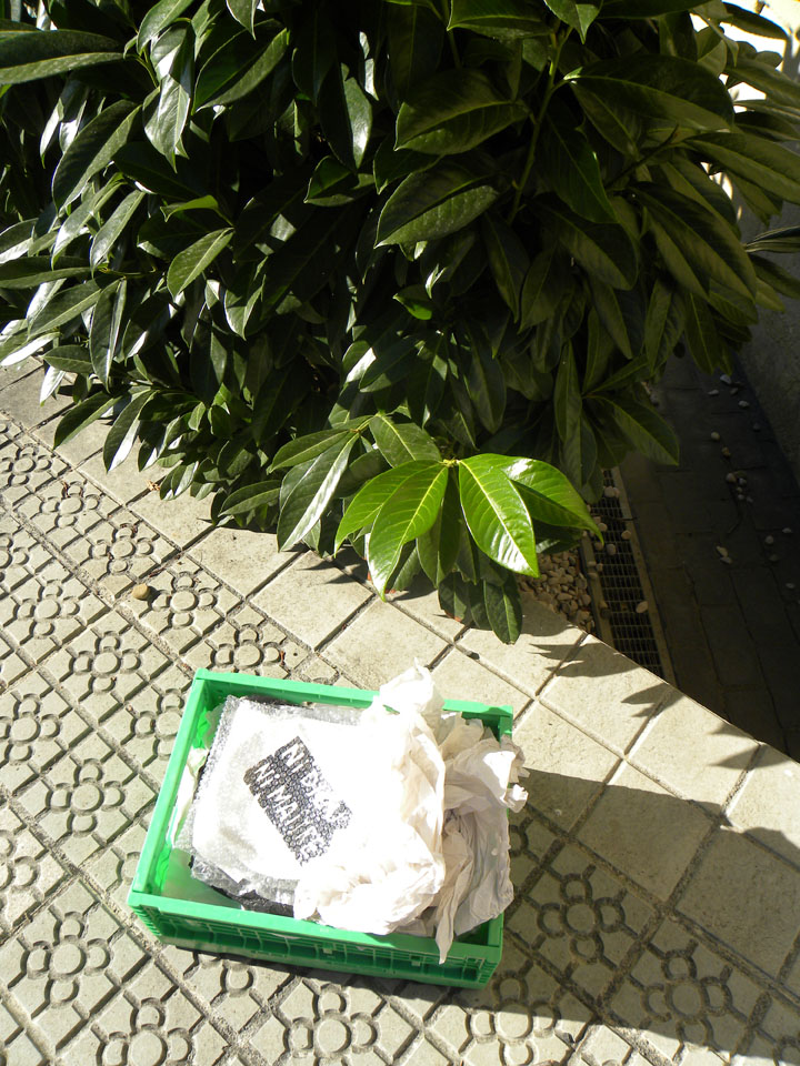 Luna Art ceramics in CuandoDavidllegoaDurango