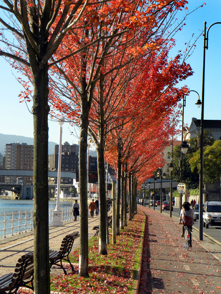 Coming to the University