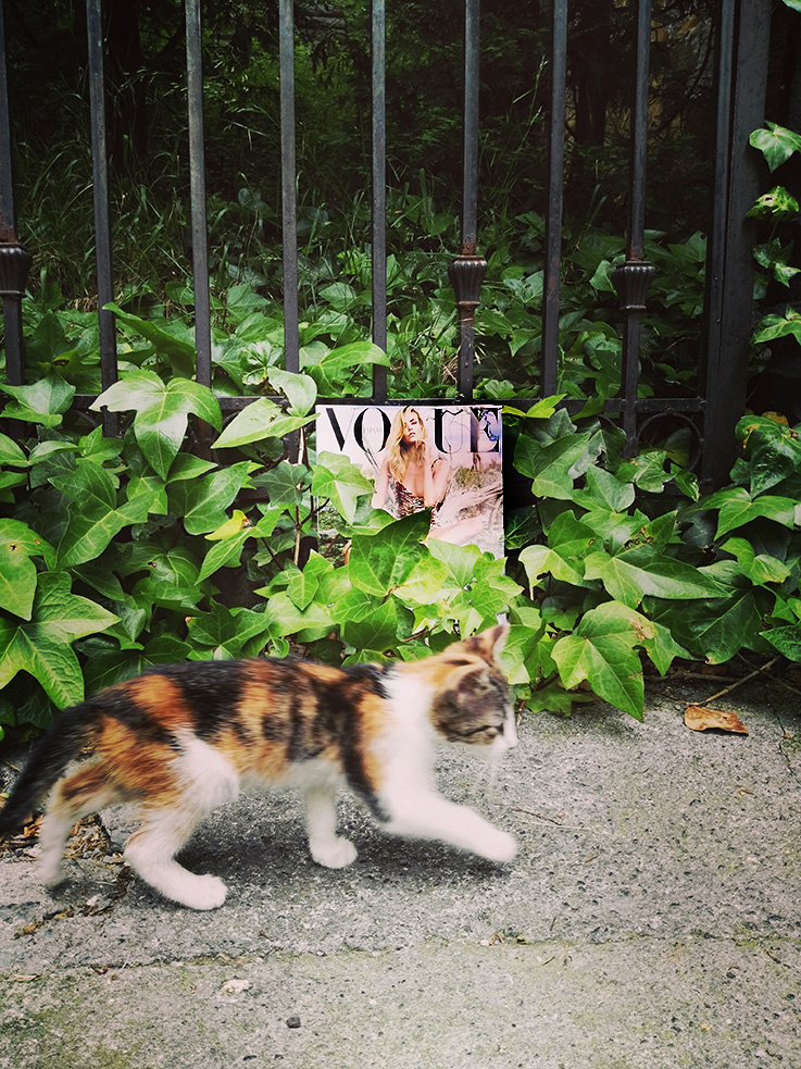 Deluna Ceramics en Vogue