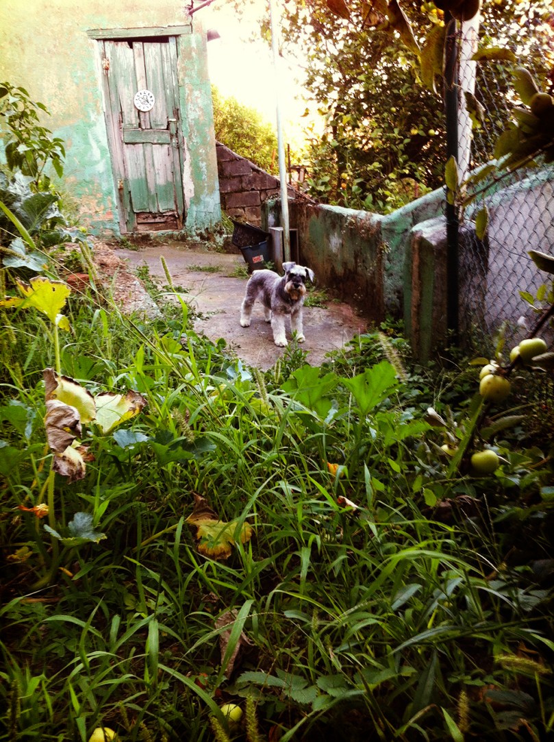 J'aime Pas L'art by Deluna Ceramics