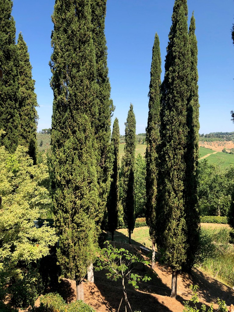 La Luna en la Toscana