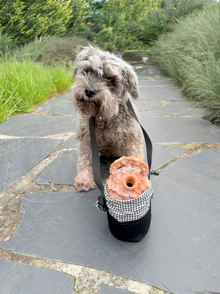 Mascota Anís con el botijo realizado por Aintzane De Luna en el taller «Botijo is not dead»